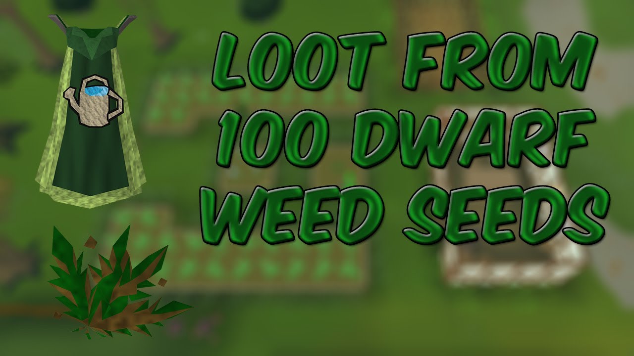 Loot From 100 Dwarf Weed Seeds