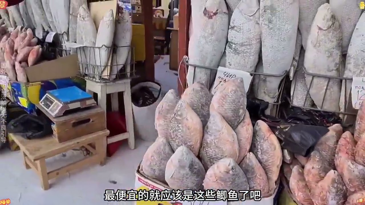 我居然在俄罗斯零下50度的集市看到了这个真的想不到啊 #俄罗斯 #带你看世界 #环球旅行 #vlog十亿流量扶持计划 #集市