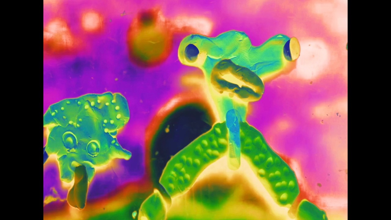 Flea - Free As I Want to Be (Official Visualizer)