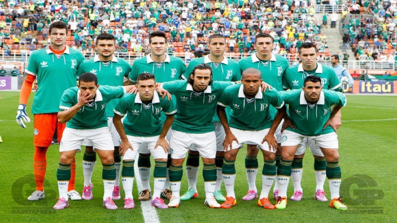 Palmeiras no Campeonato Brasileiro 2014 - Campanha Completa