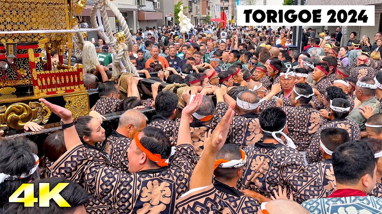 【鳥越祭 2024 栄久】千貫神輿渡御 日本の祭 4K Torigoe Shrine Festival