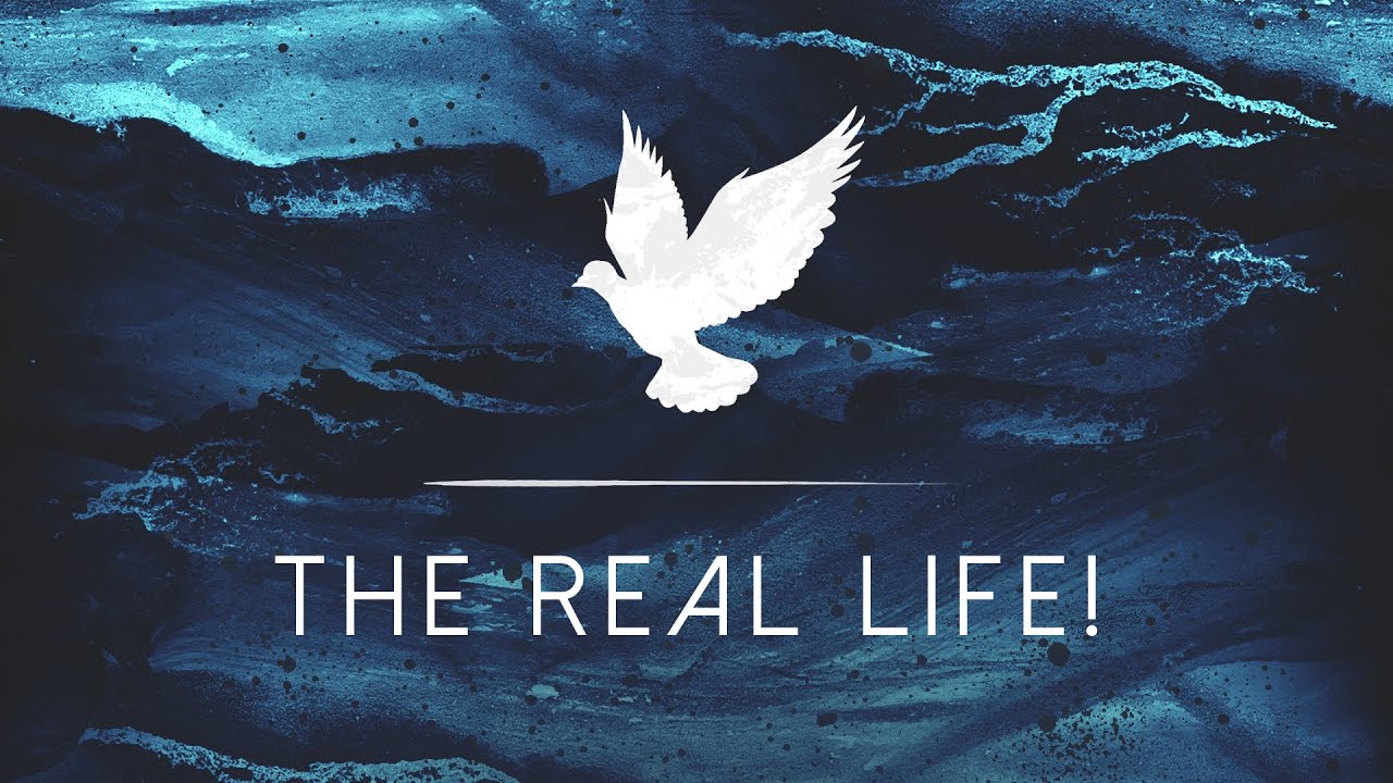 The Real Life!
