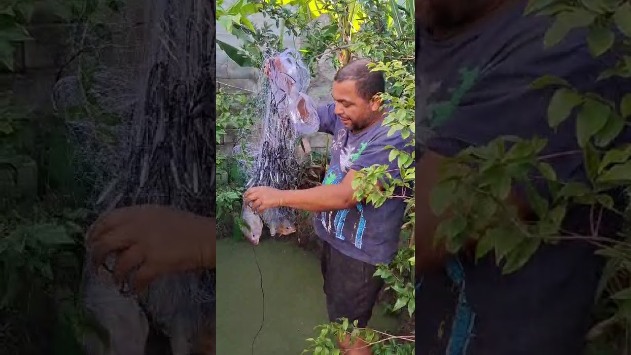 isso não era peixe, era um monstro na tarrafa 😱