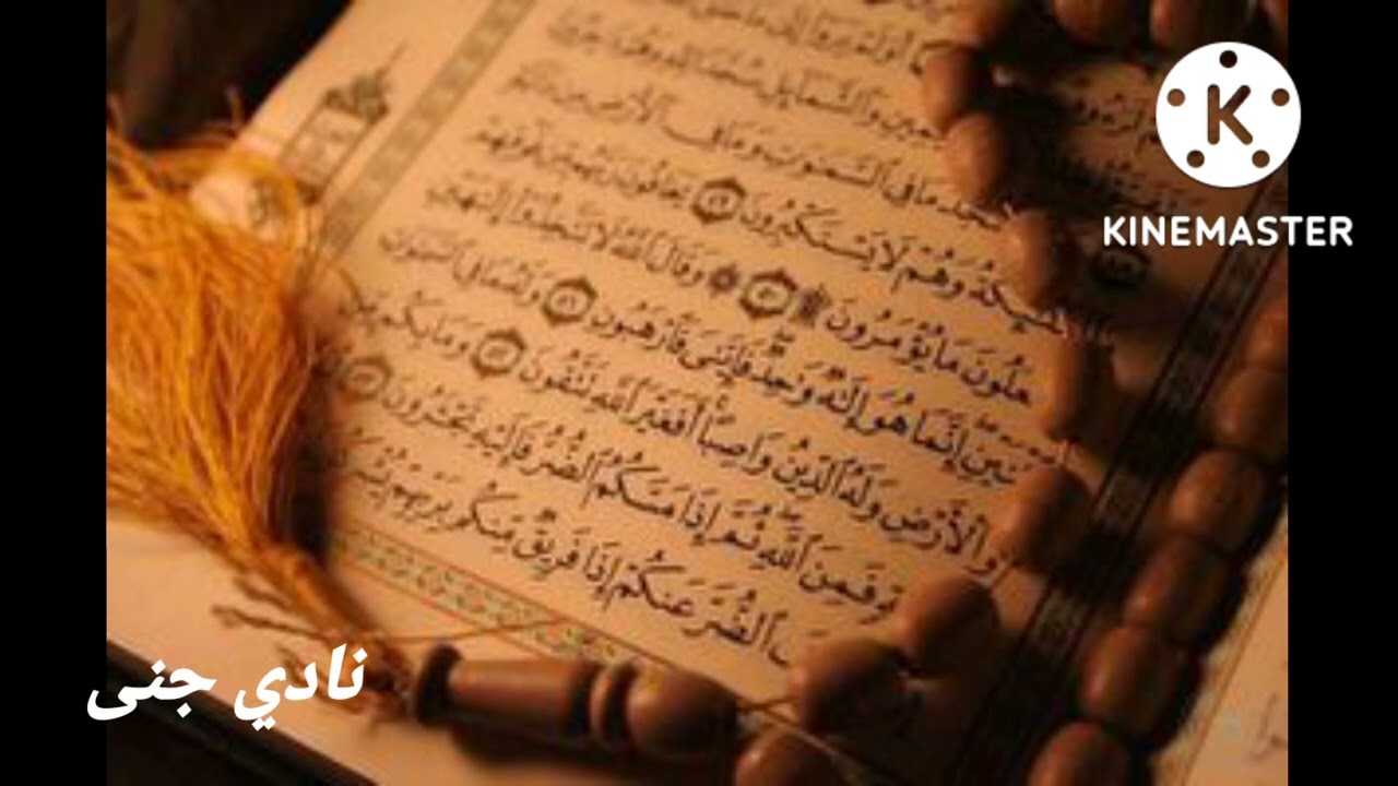 أفضل رقية شرعية للاطفال من القرآن الكريم قبل الذهاب إلى المدرسة
