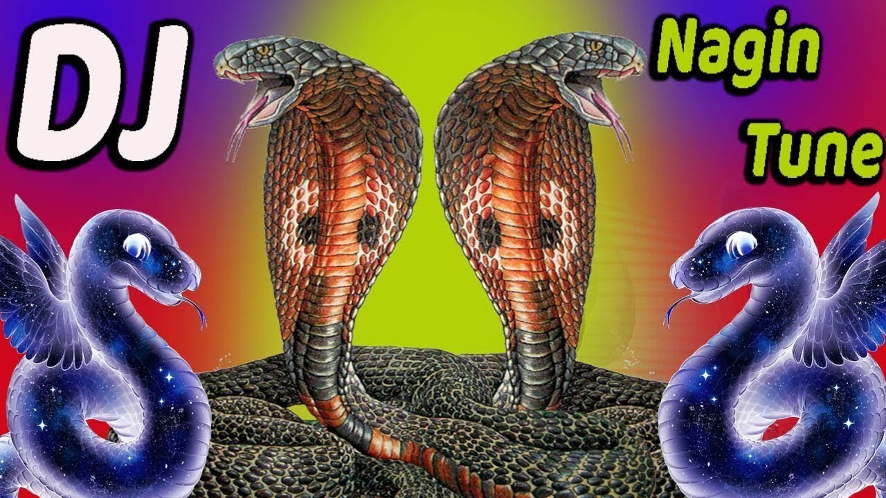 Nagin music dj.নাগিন গান ডিজে।dj nagin music video 2019.