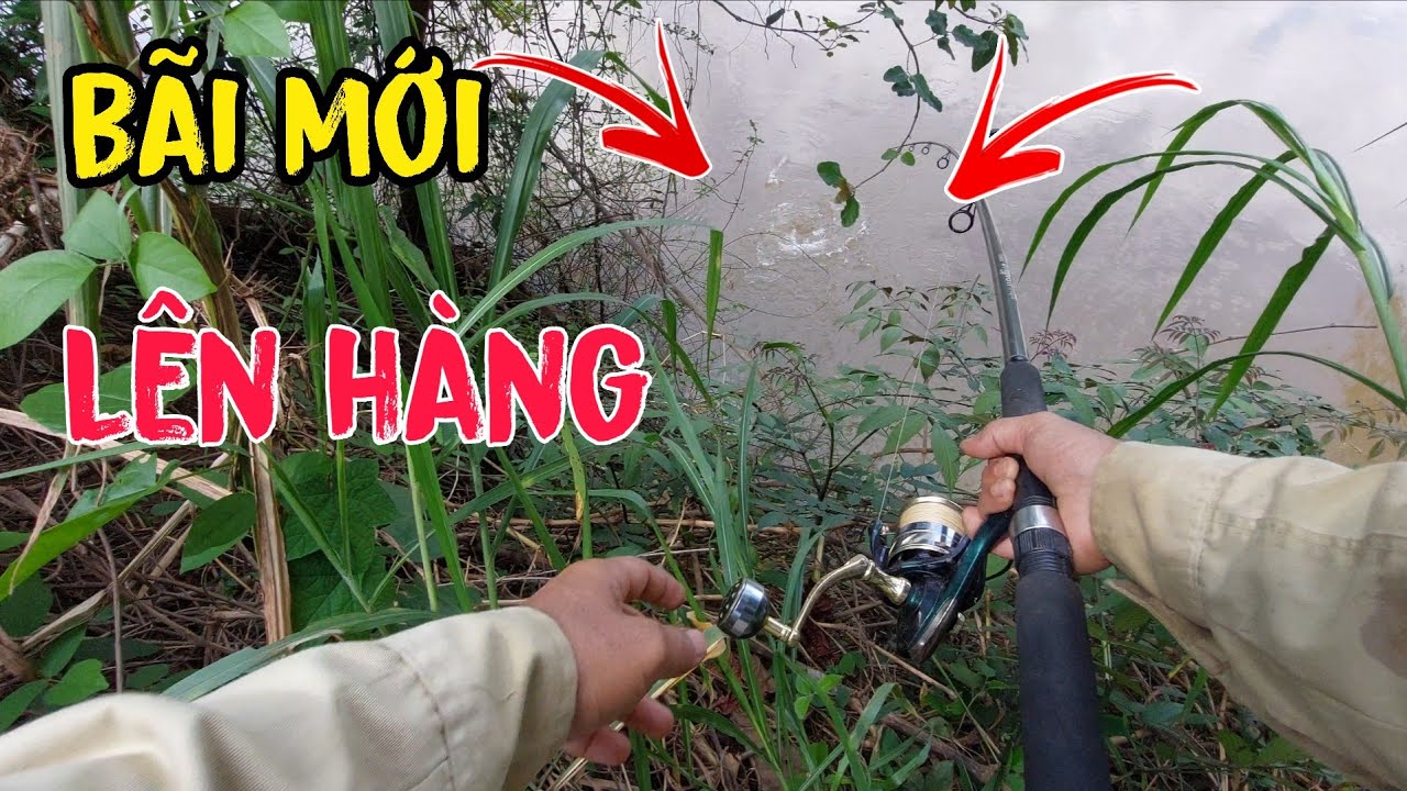 Câu Cá Tra Sông Bé...Đụng Hàng...Vừa Quăng Mồi Là Pen Cần Quá Phê...!