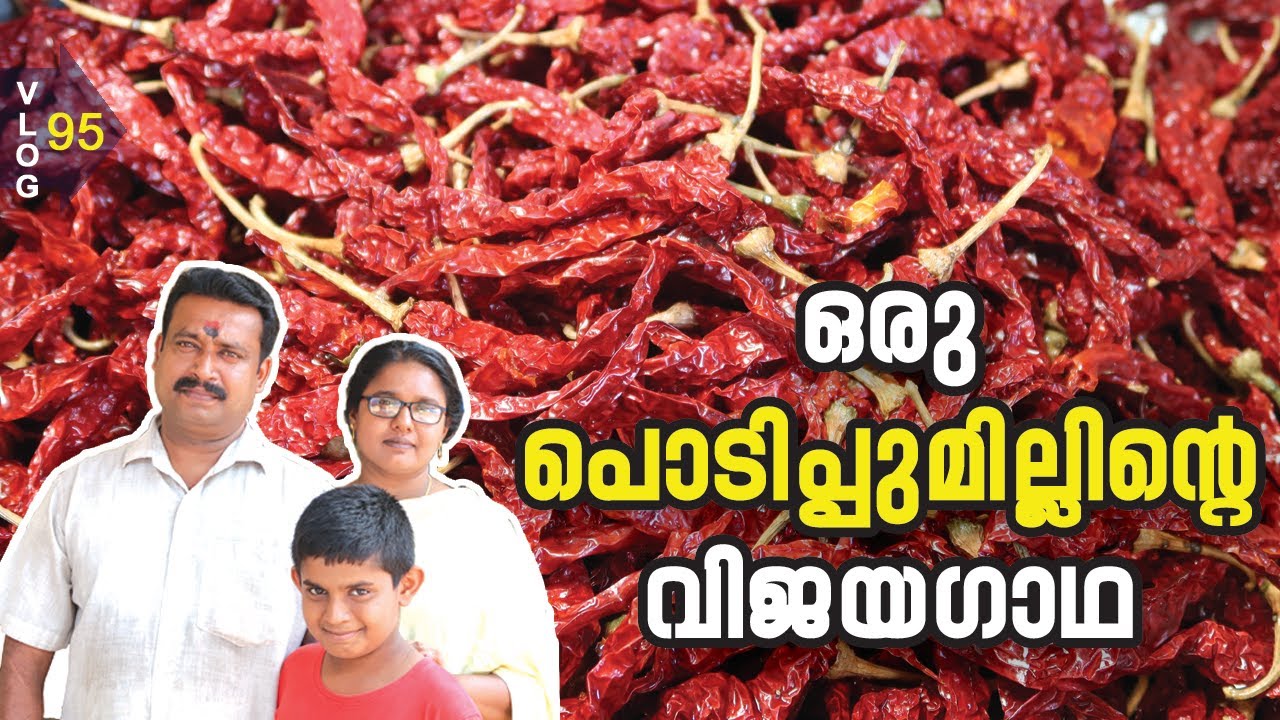 A SUCCESS FLOUR MILL (പൊടിപ്പുമില്ലിന്റെ വിജയഗാഥ) Pappaya Vlogs