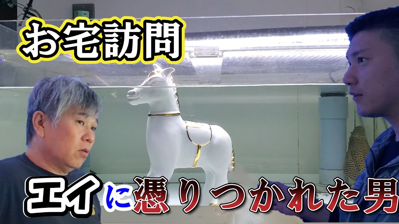 【お宅訪問：ヒラマツさん編】エイの為に小屋を建てる！？エイに憑りつかれた男の家がすごかった。