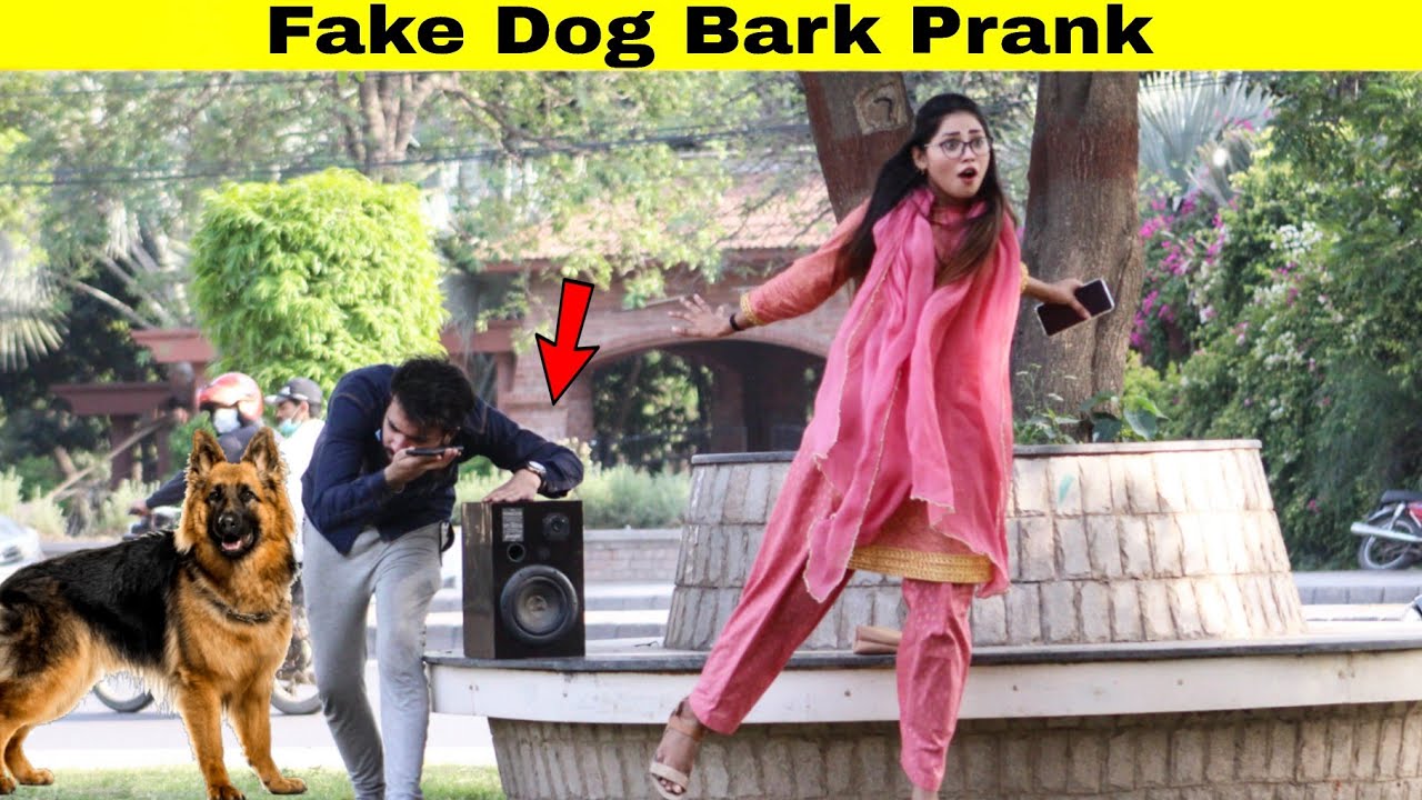 Fake Dog Bark Prank | Prank in Pakistan | @HitPranks