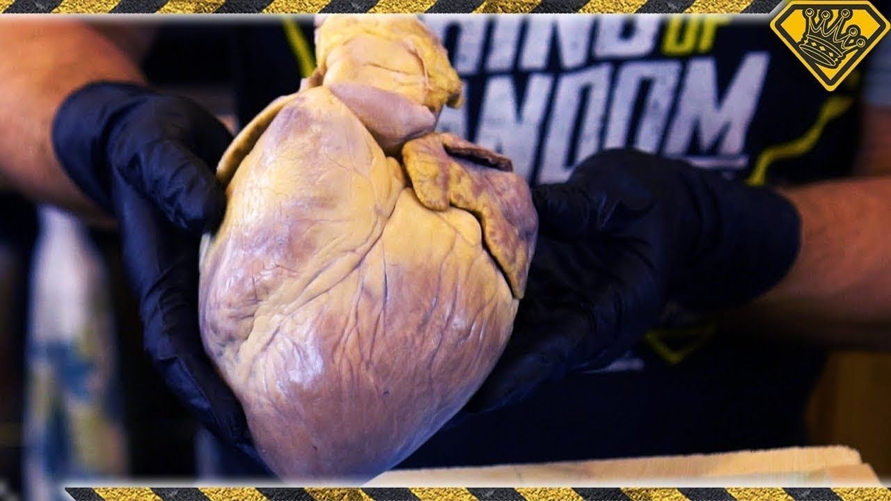 A Giant Heart For Valentine's Day | How To Make Silicone Heart Mold From A Real Heart