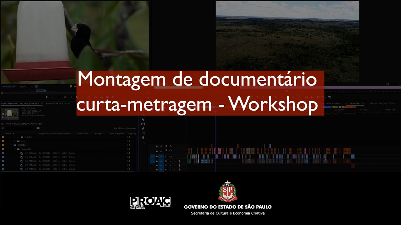 Workshop Montagem de Documentário Curta-Metragem - ProAC Expresso Direto n. 39/2021