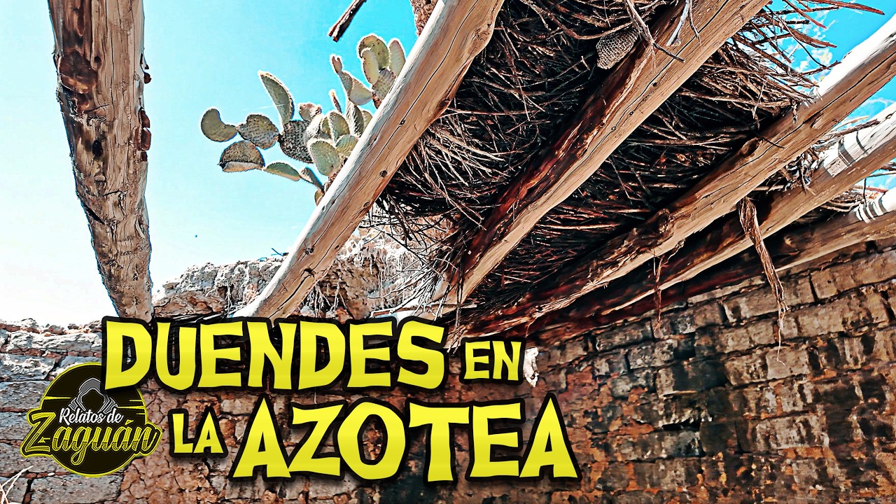 HAY DUENDES en la AZOTEA, SE ESCUCHA QUE RASGU&Ntilde;AN EL TECHO !!