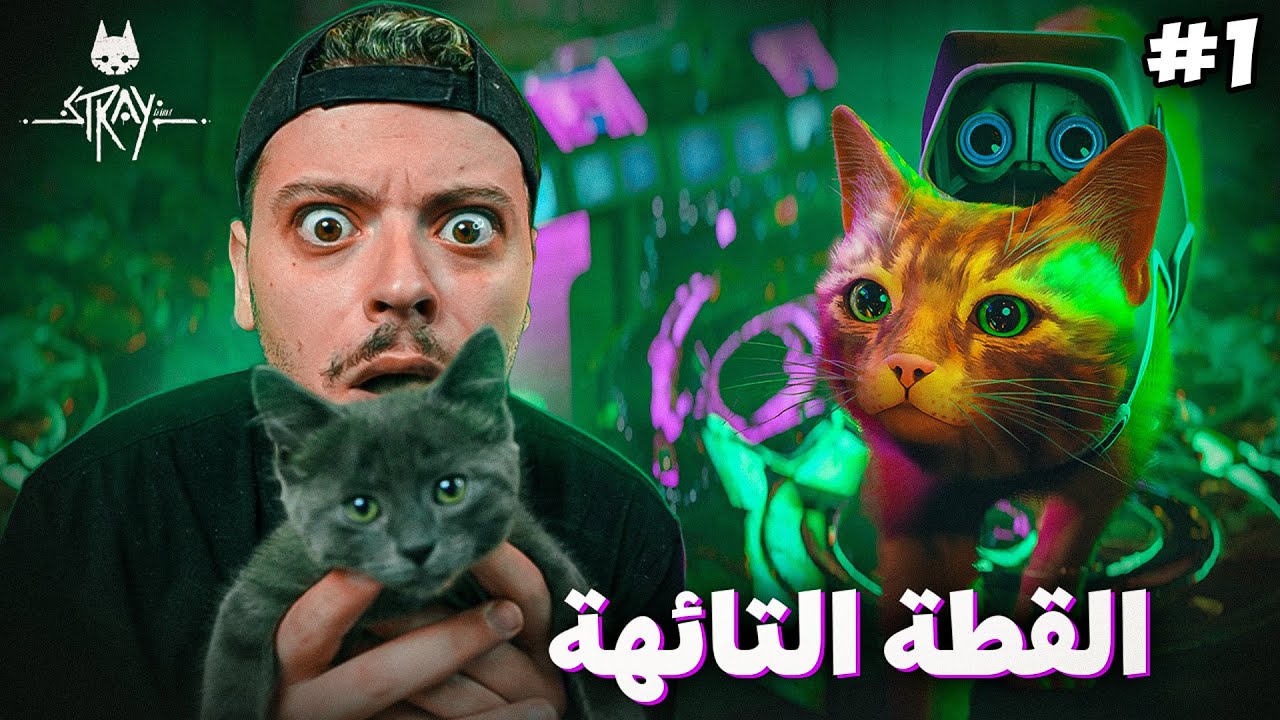للأسف انا في ورطة 🥺🐈 | STRAY (الحلقة الأولى)
