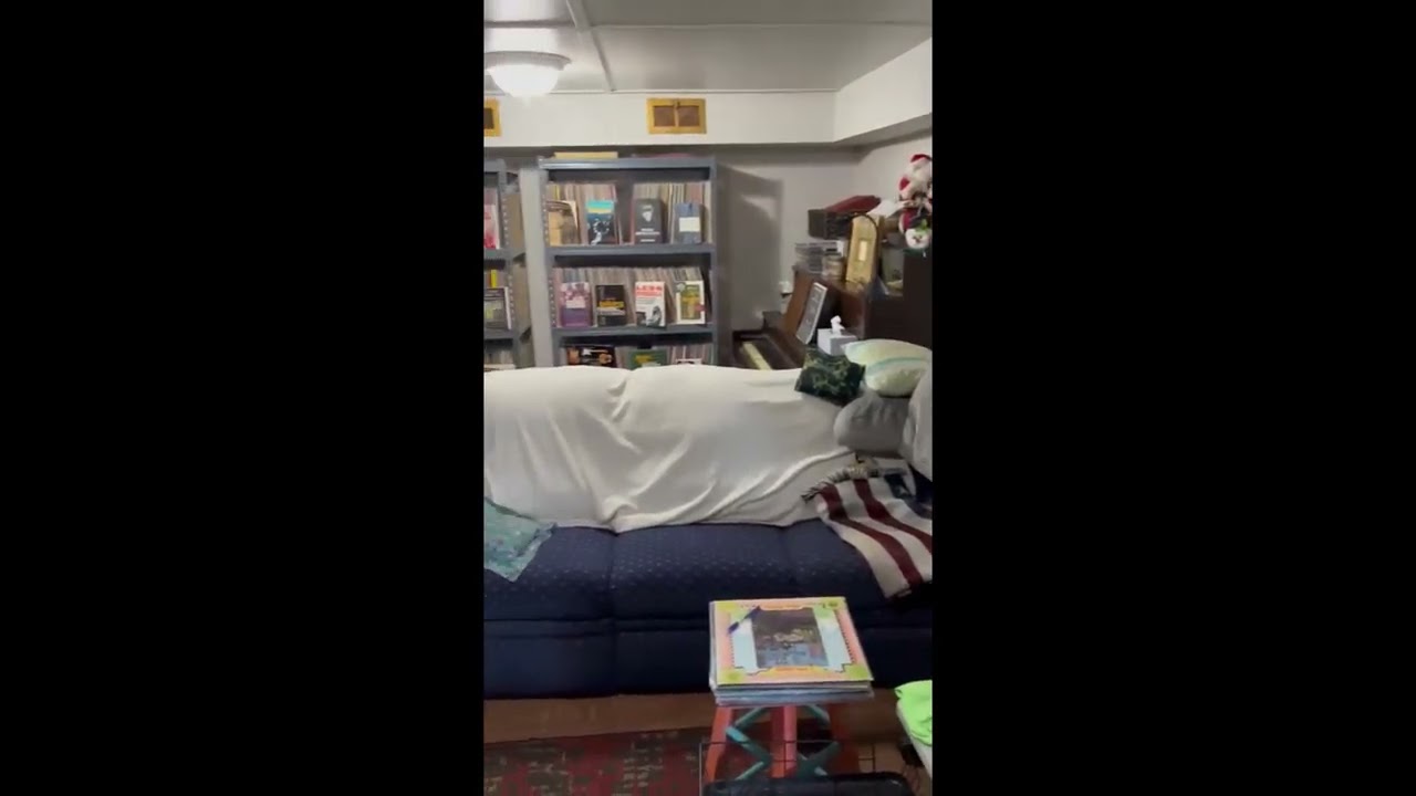 Music Room Tour 2025 / Lazy Dawg's Records / Vinyl Community