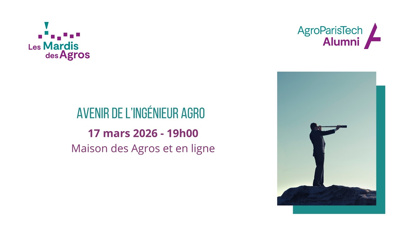 En direct: MDA 17 MARS 2026 -19h00 : 