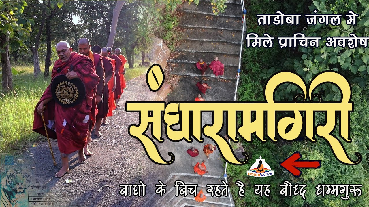 यह बौद्ध भिक्षु रहते है बाघों के साथ | ताडोबा के जंगल में मिले प्राचिन अवशेष | संघारामगिरी का रहस्य