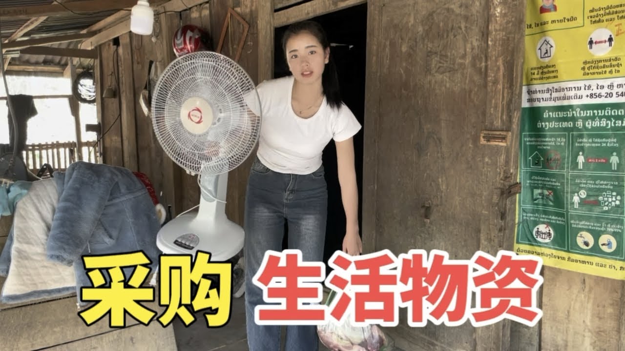 200万在老挝能买到多少东西呢
