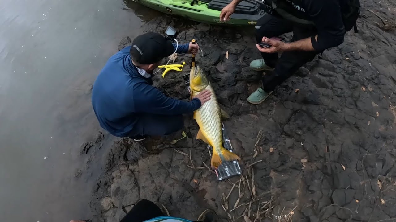 Duble de DOURADO MONSTRO - Artificial e Tuvira - Uma batlha épica que tira o folego #pescadecaiaque