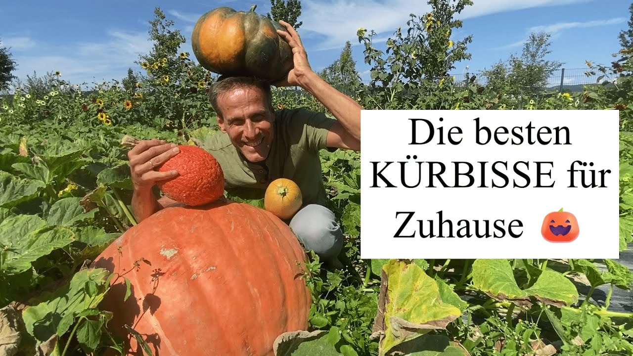 Die beste KÜRBISSORTE für deinen Garten 🎃 88 Sorten im Vergleich