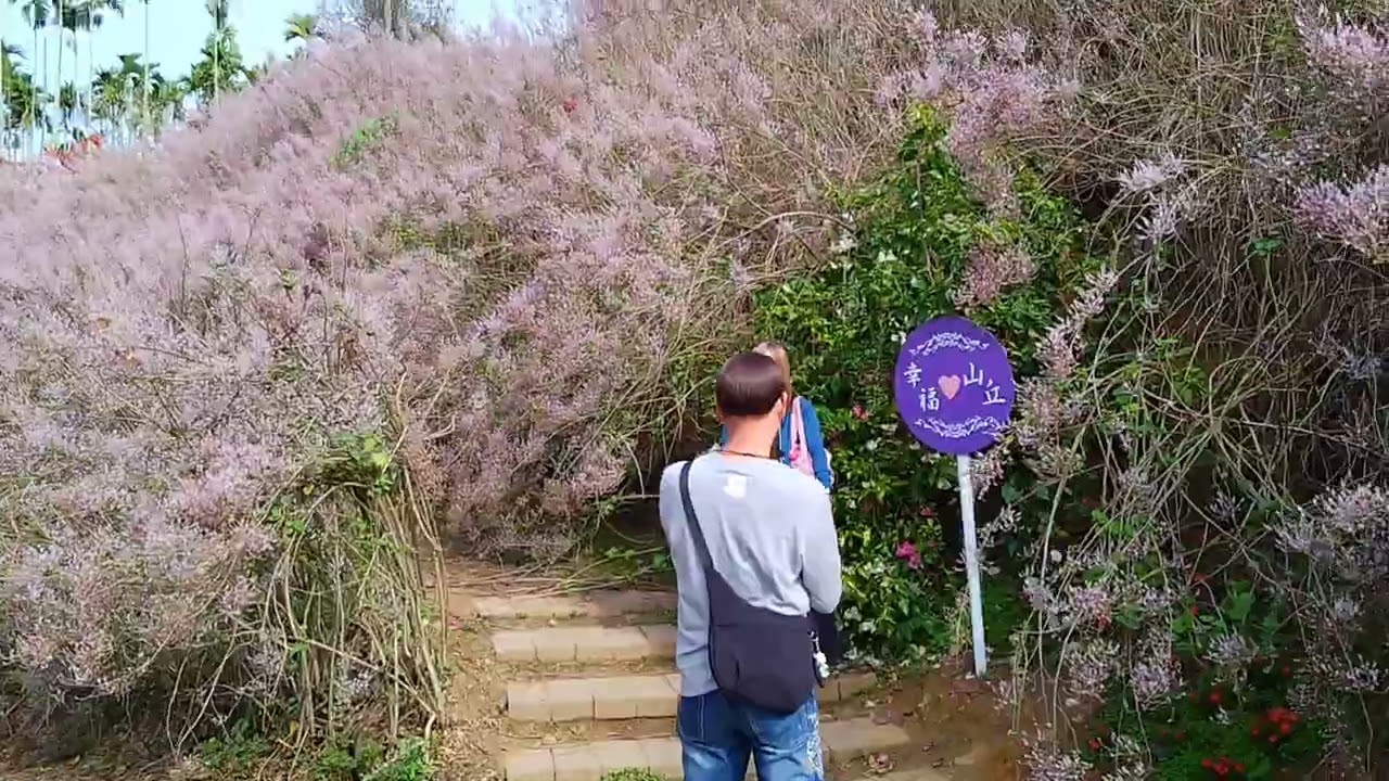 瑰蜜甜心玫瑰園2026.3.7
