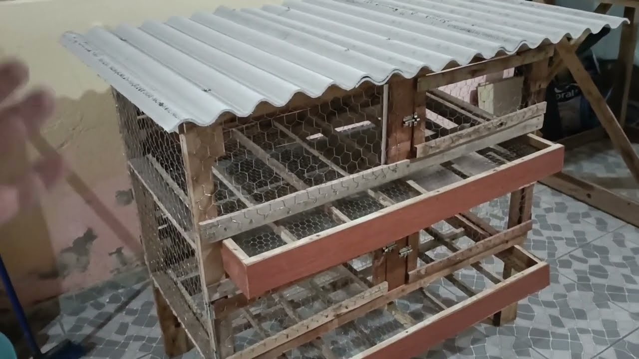 Como fazer um viveiro caseiro para criar codornas com paletes