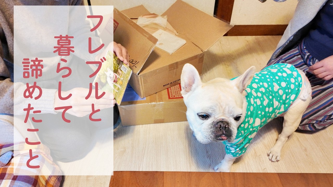 ［犬と暮らして11年］諦めたこと・続けていること