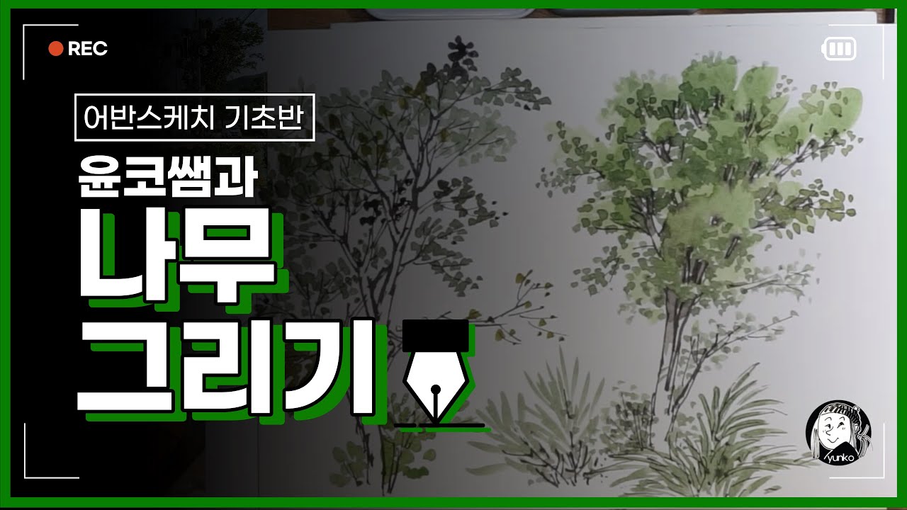 [어반스케치 기초] 나무 그리기 🌳🌲🍃 시작해봐요! 어반스케치, 윤코쌤과 함께