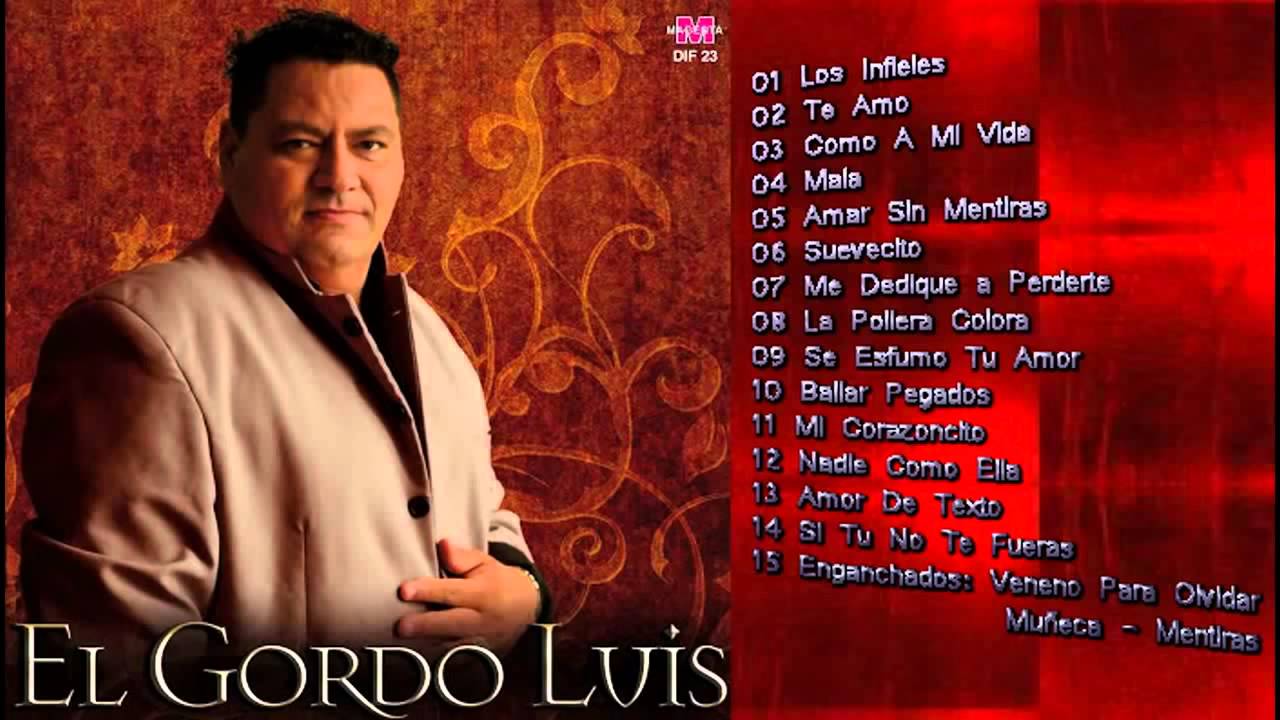 EL GORDO LUIS GRANDES EXITOS ENGANCHADOS