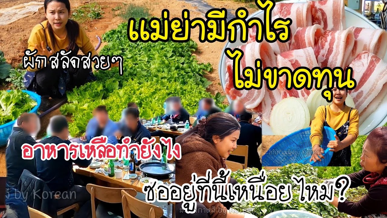 EP.327 |นั่งคุยเรื่องเเม่ย่าทำร้านอาหารเเบบนี้ไม่ขาดทุน ซออยู่ที่นี้เหนื่อยไหม? สามีหึงไหม?