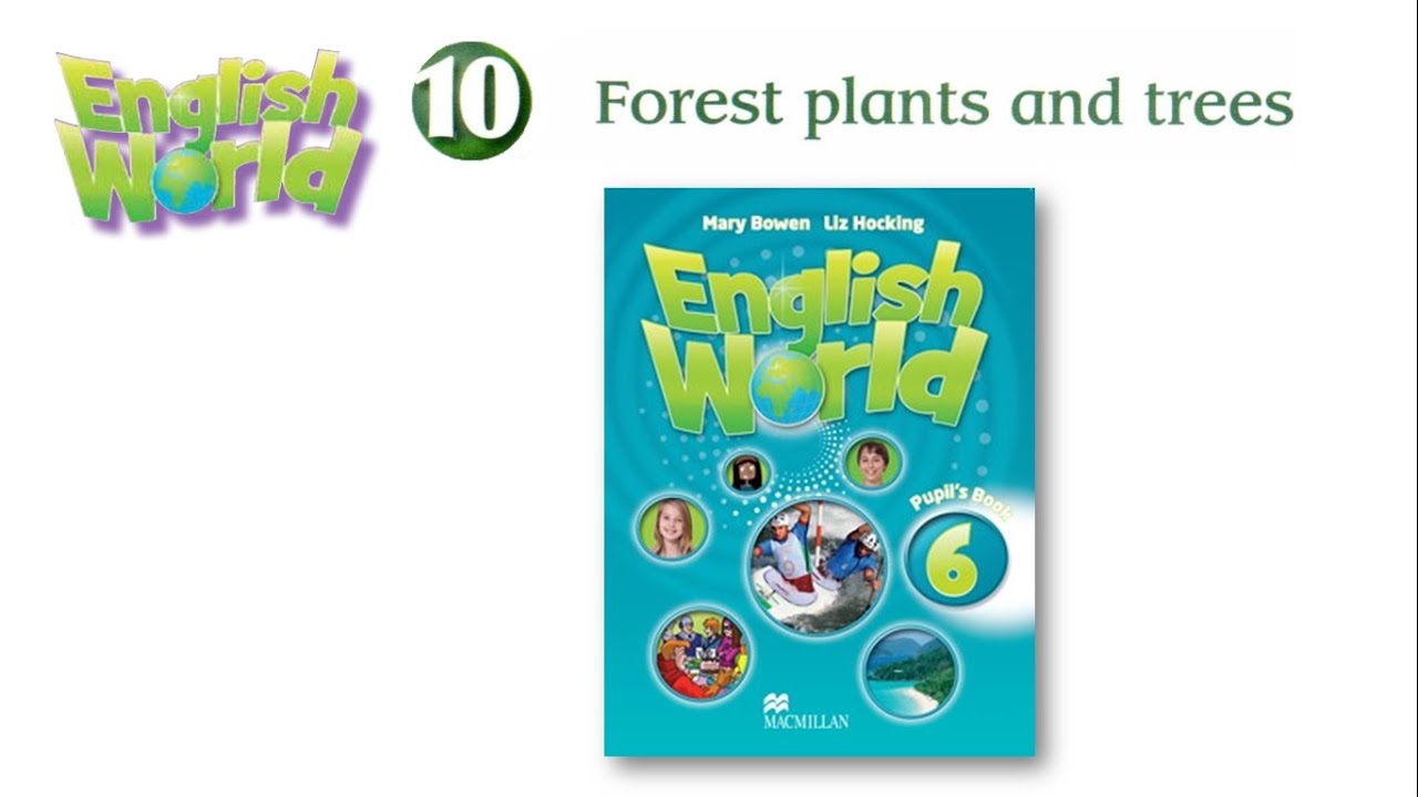 English World 6 words Unit 10