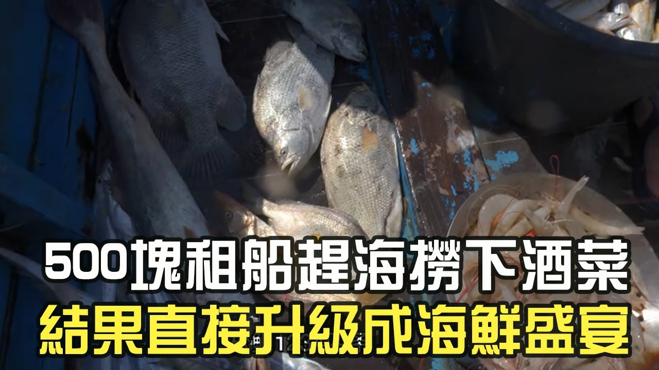 500塊租船趕海撈下酒菜，結果直接升級成海鮮盛宴#阿牛愛捕魚 #熱門 #趕海 #蘇裏南