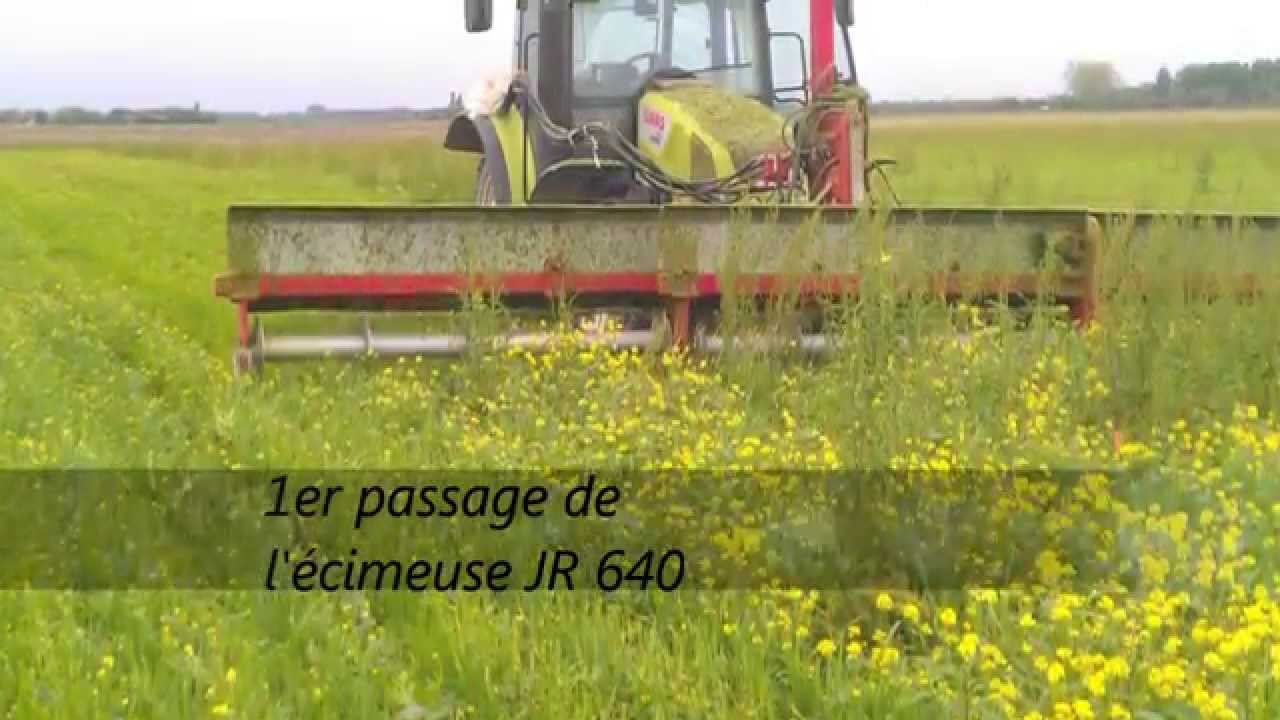 JR 640 , production BIO d'engrain (petit épeautre)