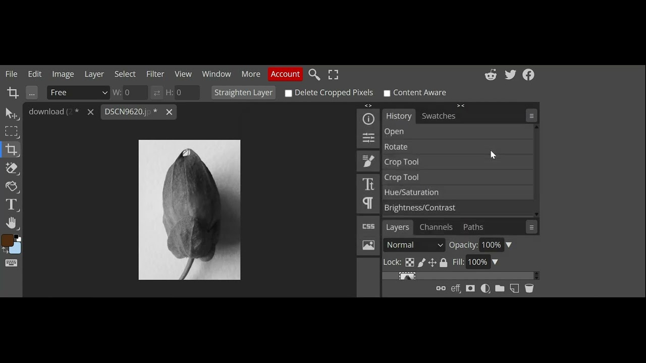 Karl Blossfeldt edit with Show the Process