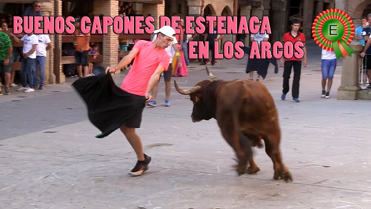 BUENOS CAPONES DE ESTENAGA EN LOS ARCOS (5-6-22)