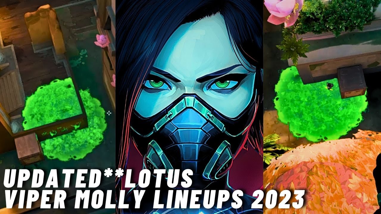 BEST Viper Lineups for LOTUS - 2025