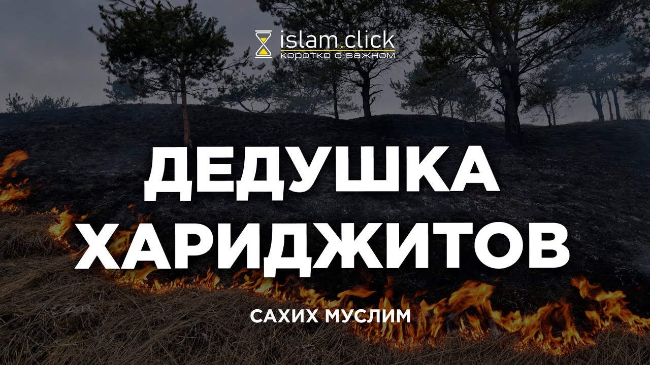 Дедушка хариджитов. Пользы из Сахиха Муслима. Абу Яхья Крымский