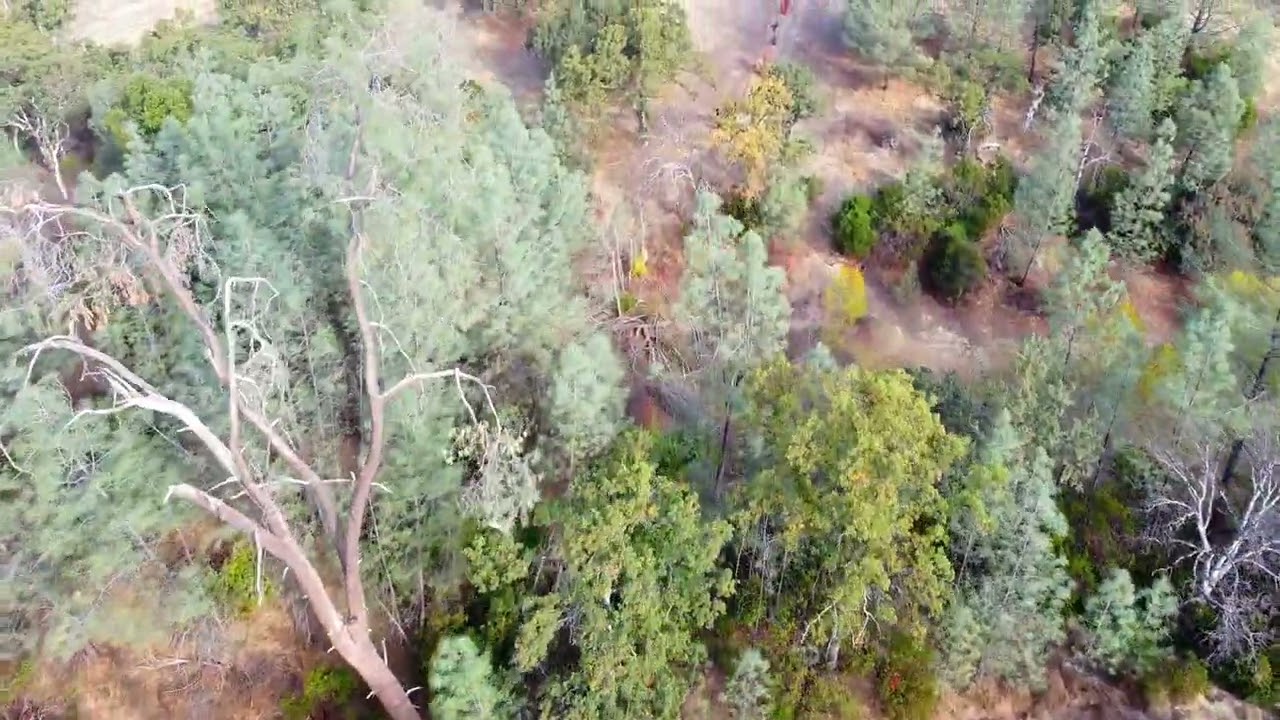 1.26 Acre Land for Sale in Tehama