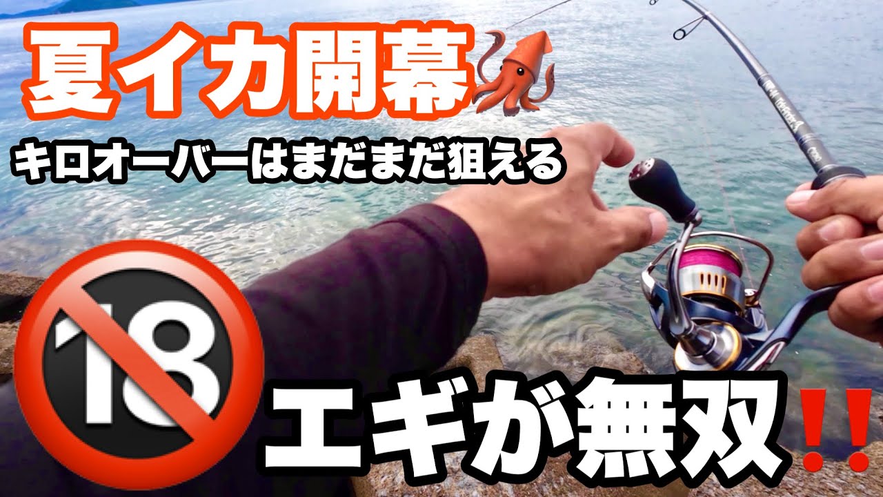 ［エギング］大人なエギで夏イカ爆釣‼️