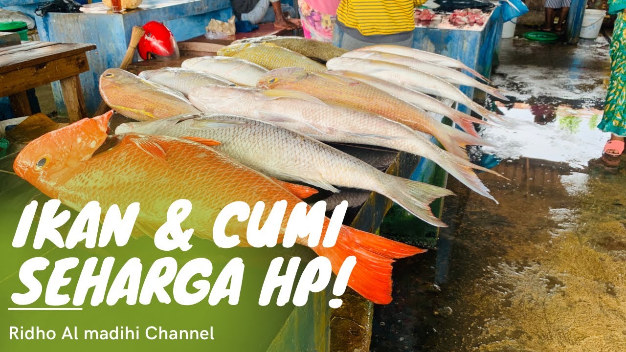 Pasar ikan langgur | KABUPATEN MALUKU TENGGARA