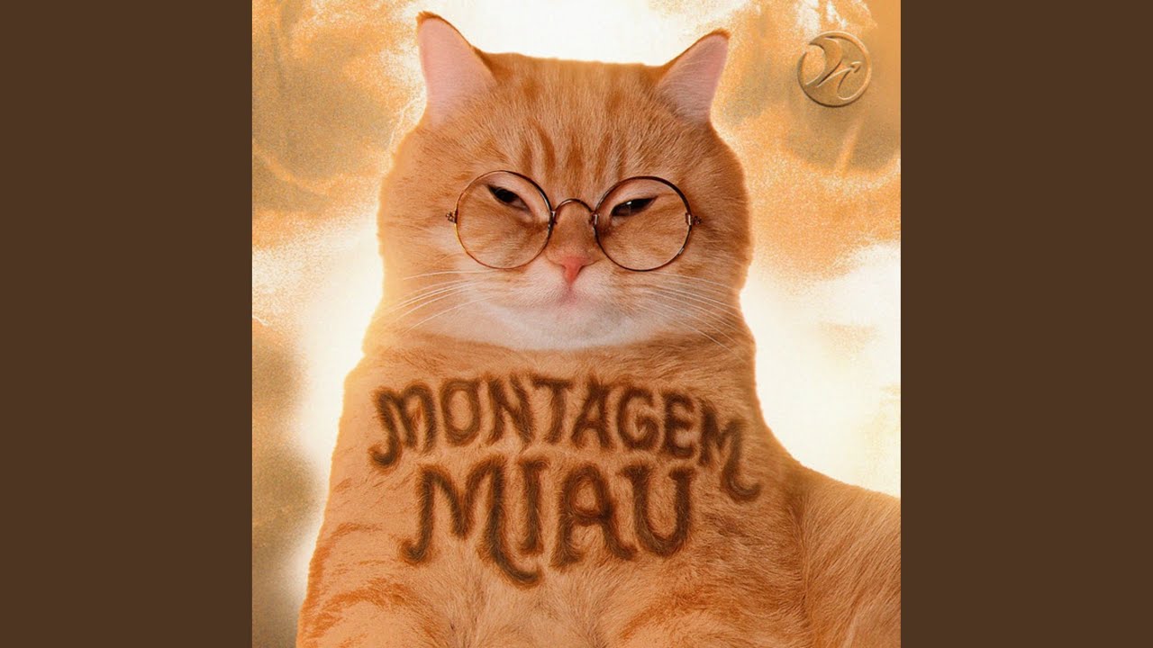 Montagem Miau (Slowed)