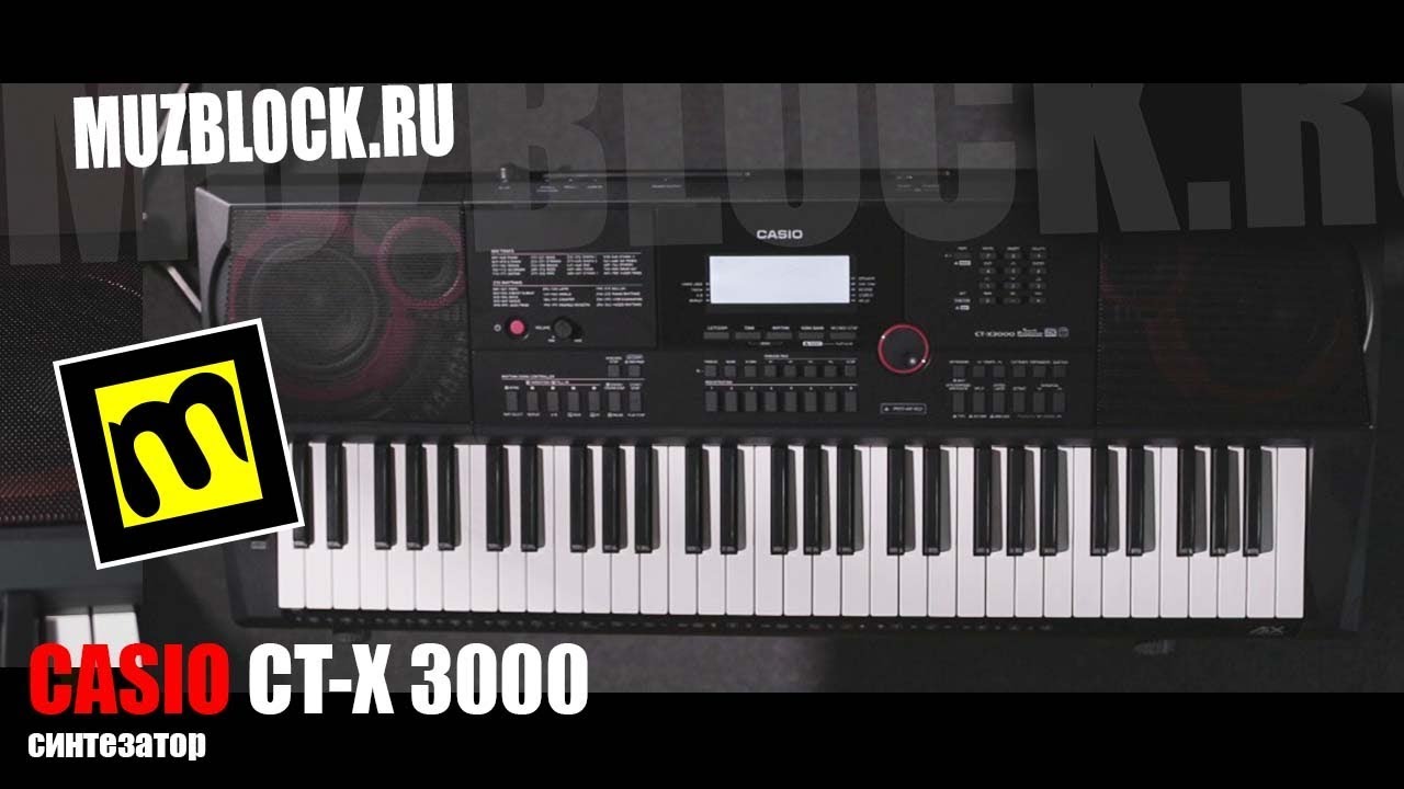 Синтезатор Casio CT-X3000 - обзор