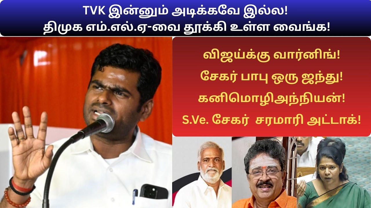 TVK  இன்னும் அடிக்கவே இல்ல! திமுக எம்.எல்.ஏ-வை தூக்கி உள்ள வைங்க! #dmk #admk #tvk #annamalai #bjp