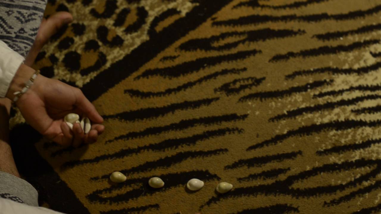 Cowrie shell divination