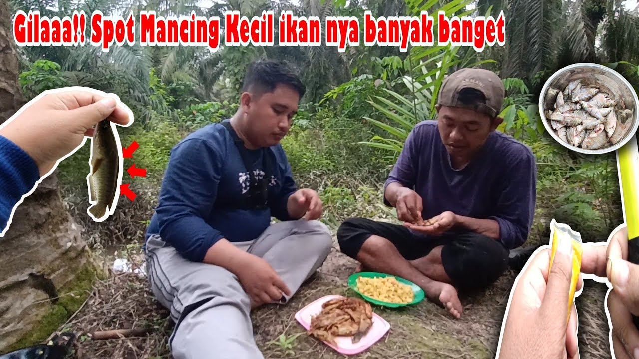 🍃 GILAAA ‼️SPOT MANCING KECIL IKAN NYA BANYAK BANGET  #fyp #tranding #viral