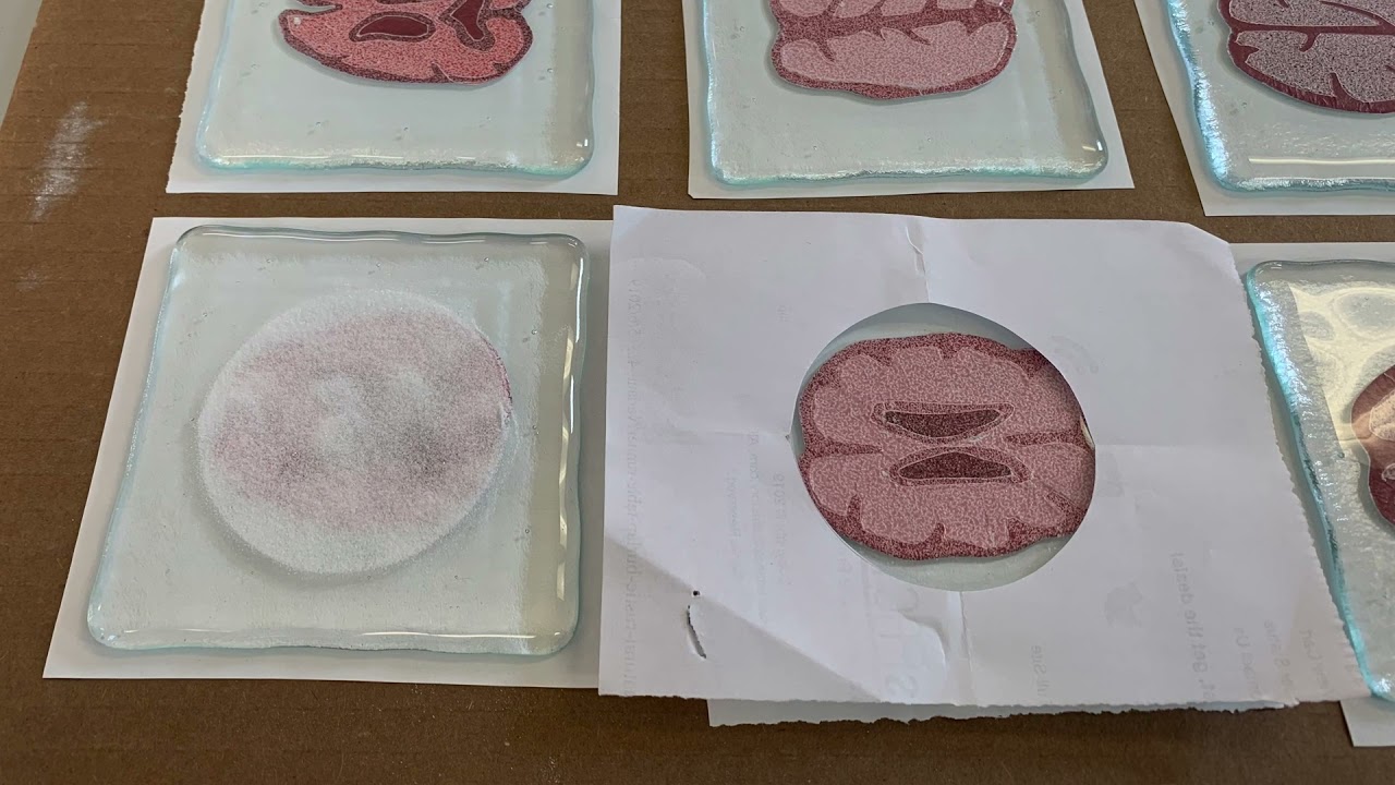 Glassline Paper  Brain Coasters