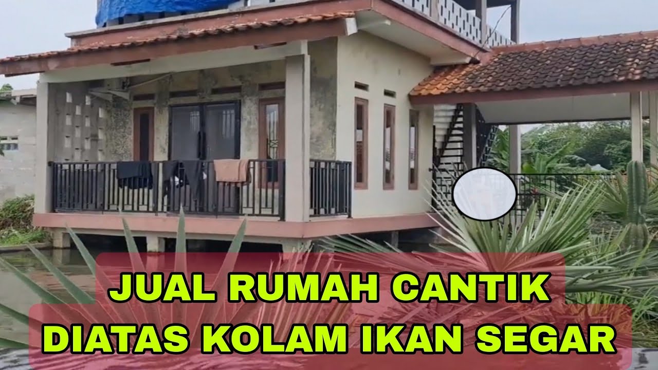 Di Jual Cepat Rumah Rasa Villa Di Atas Kolam Ikan Pemandangan Gunung Situdaun Tenjolaya Bogor