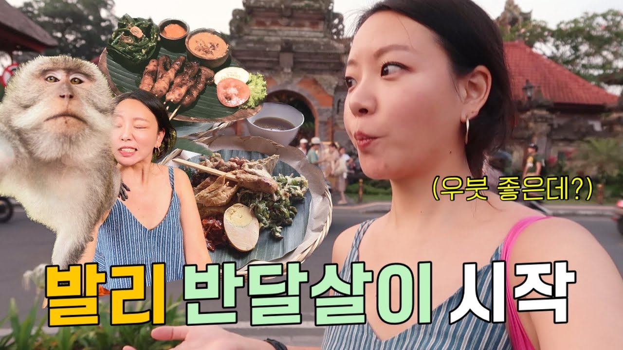 🇮🇩나홀로 발리 EP.1🇮🇩 지락실 몽키셀카 나도 가봄!!😀동남아 만렙의 우붓 필수코스+쇼핑부터 갈기는 나란 여자 (우붓마켓/ 몽키포레스트/ 우붓맛집/ 우붓카페/ 쇼핑)