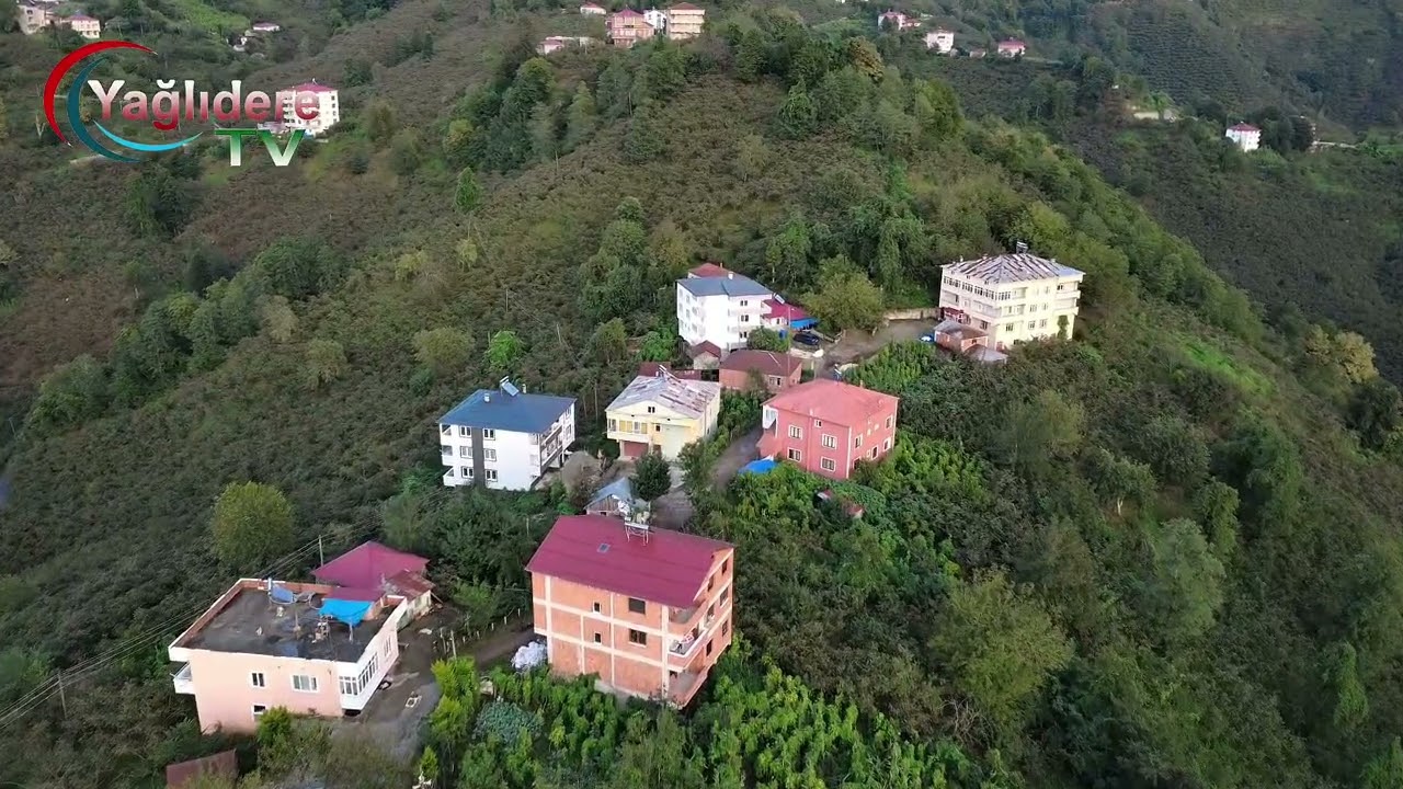 Yağlıdere Kurucalı mahellesi çıtlak ve egelli küme evleri.