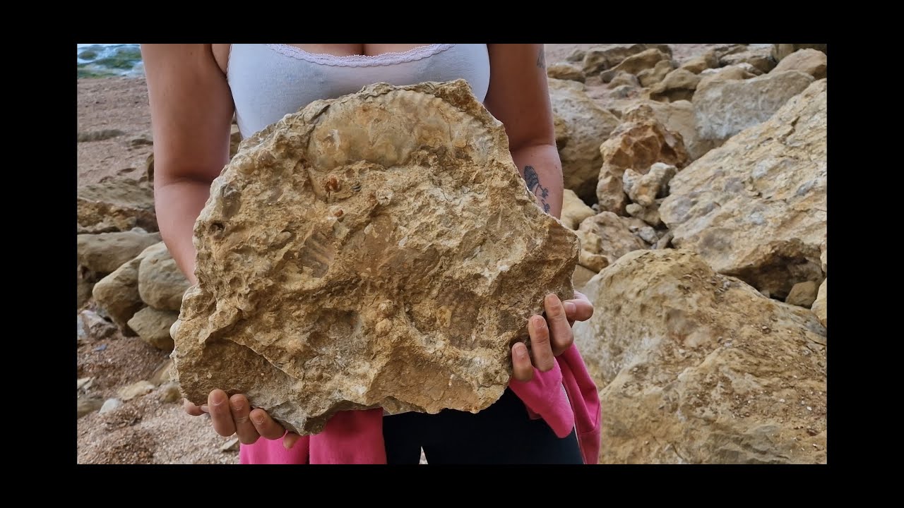 DJ Fossils   epic 4 day fossil hunt giant ammonites and much much more