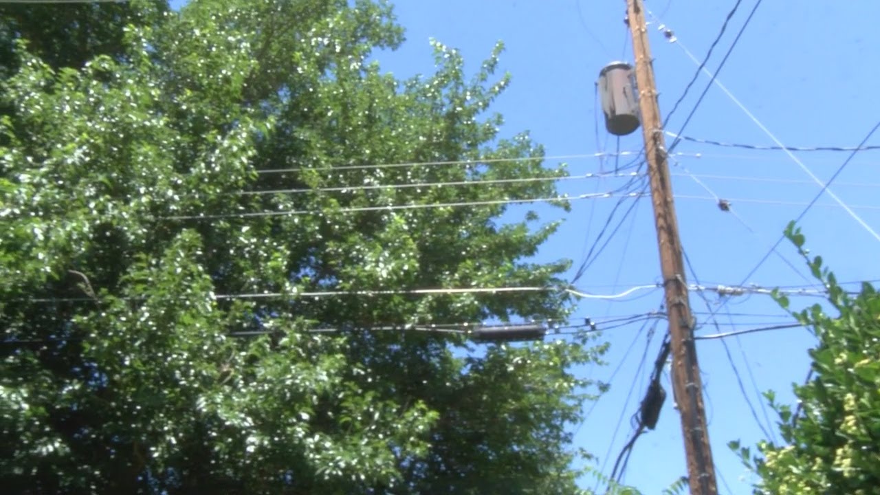 Neighbors concerned with tree branches hitting power lines, sparking